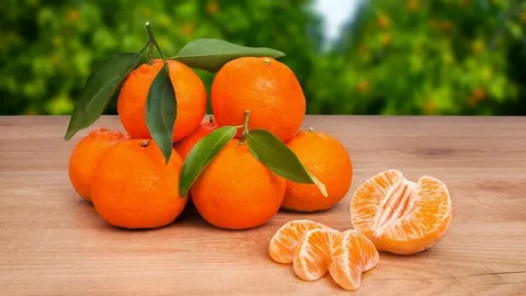 قیمت و خرید نارنگی باغ ارگانیک + فروش ارزان